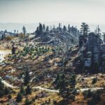 Ballinger Open Space Restoration
